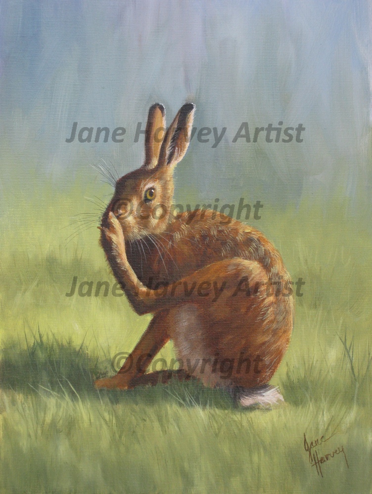 Scratching Hare