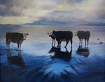 Lochside Cattle