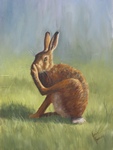 Scratching Hare